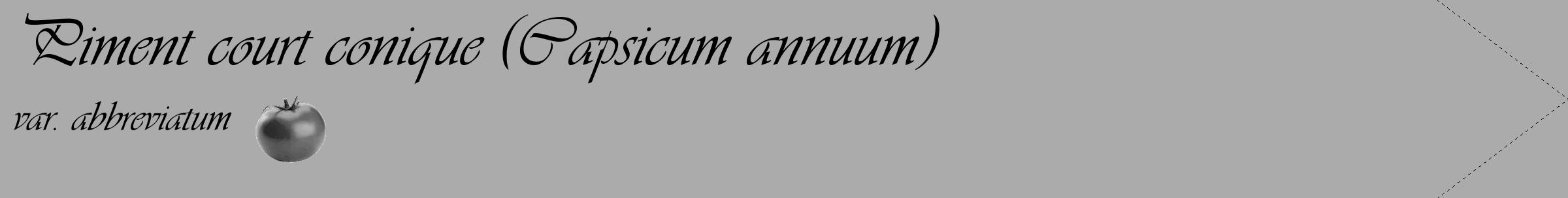 Étiquette de : Capsicum annuum var. abbreviatum - format c - style noire37_simple_simpleviv avec comestibilité simplifiée