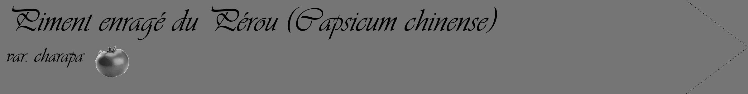 Étiquette de : Capsicum chinense var. charapa - format c - style noire5_simple_simpleviv avec comestibilité simplifiée