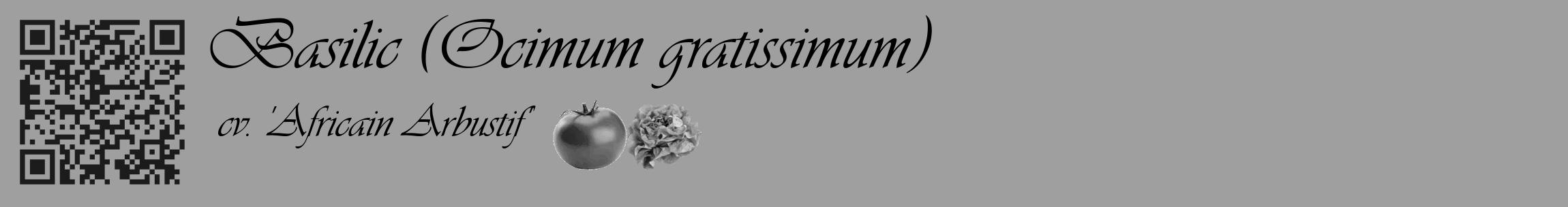 Étiquette de : Ocimum gratissimum cv. 'Africain Arbustif' - format c - style noire24_basique_basiqueviv avec qrcode et comestibilité simplifiée