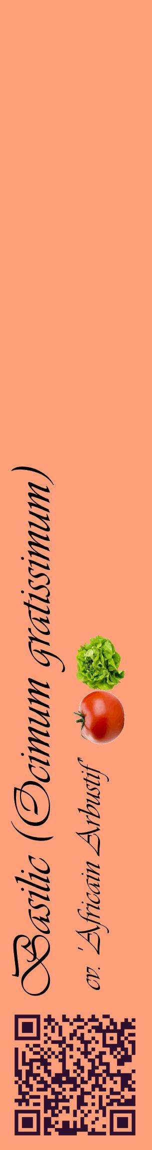 Étiquette de : Ocimum gratissimum cv. 'Africain Arbustif' - format c - style noire39_basiqueviv avec qrcode et comestibilité simplifiée