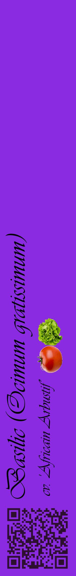 Étiquette de : Ocimum gratissimum cv. 'Africain Arbustif' - format c - style noire49_basiqueviv avec qrcode et comestibilité simplifiée
