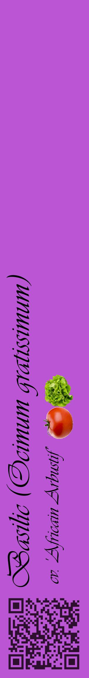 Étiquette de : Ocimum gratissimum cv. 'Africain Arbustif' - format c - style noire50_basiqueviv avec qrcode et comestibilité simplifiée