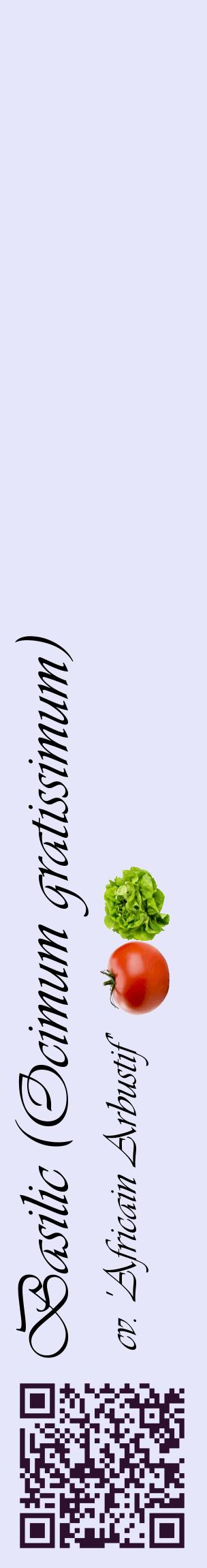 Étiquette de : Ocimum gratissimum cv. 'Africain Arbustif' - format c - style noire55_basiqueviv avec qrcode et comestibilité simplifiée
