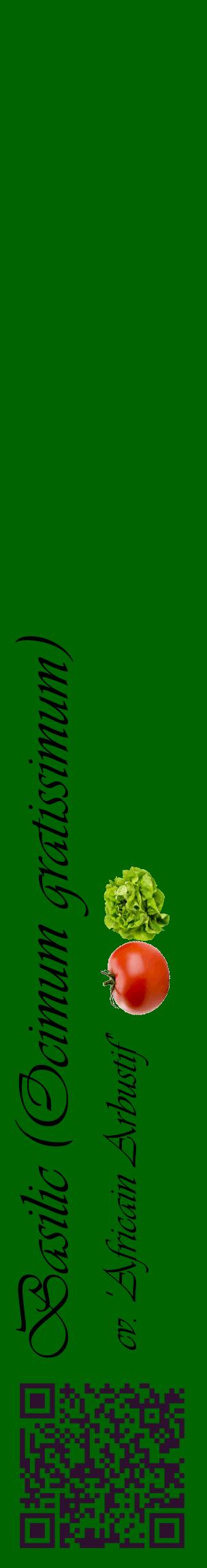 Étiquette de : Ocimum gratissimum cv. 'Africain Arbustif' - format c - style noire8_basiqueviv avec qrcode et comestibilité simplifiée