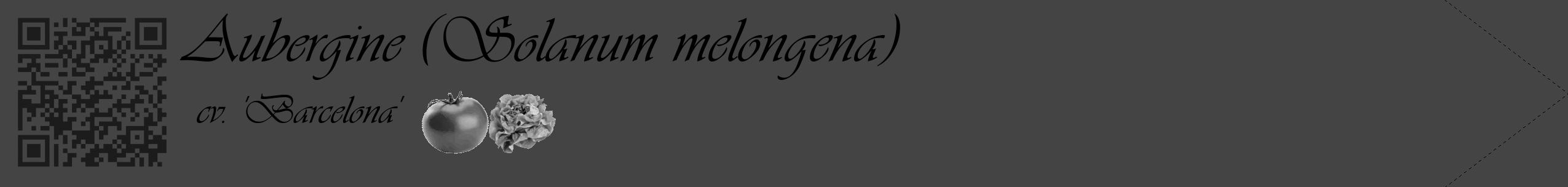 Étiquette de : Solanum melongena cv. 'Barcelona' - format c - style noire48simple_basique_basiqueviv avec qrcode et comestibilité simplifiée