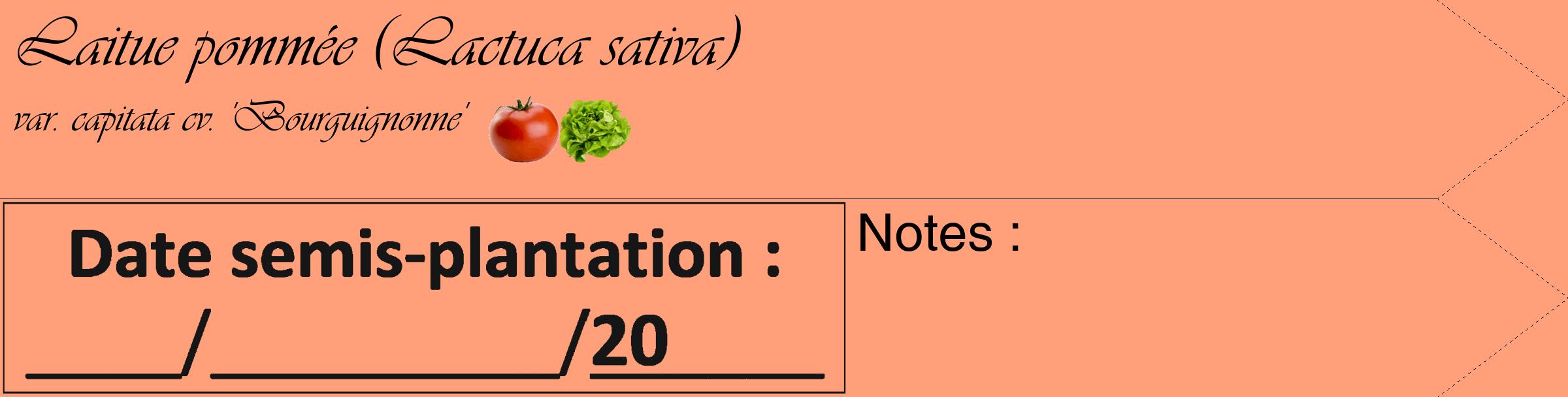 Étiquette de : Lactuca sativa var. capitata cv. 'Bourguignonne' - format c - style noire39_simple_simpleviv avec comestibilité simplifiée