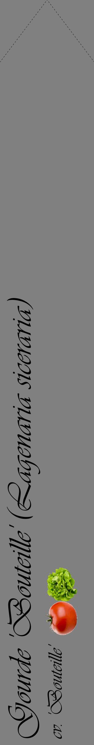 Étiquette de : Lagenaria siceraria cv. 'Bouteille' - format c - style noire57_simpleviv avec comestibilité simplifiée