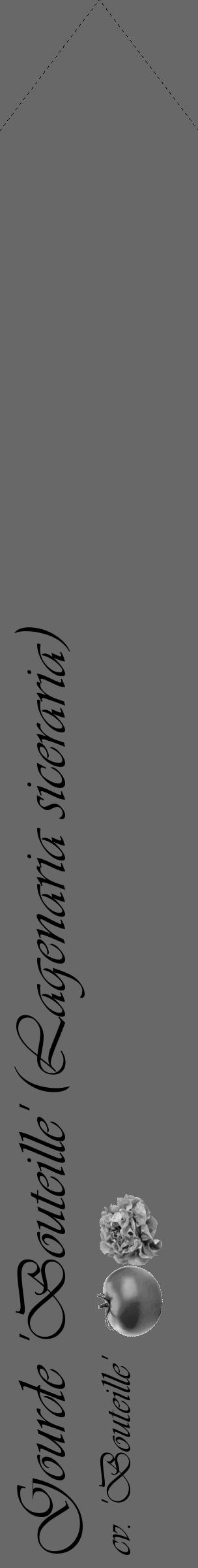Étiquette de : Lagenaria siceraria cv. 'Bouteille' - format c - style noire6_simple_simpleviv avec comestibilité simplifiée - position verticale