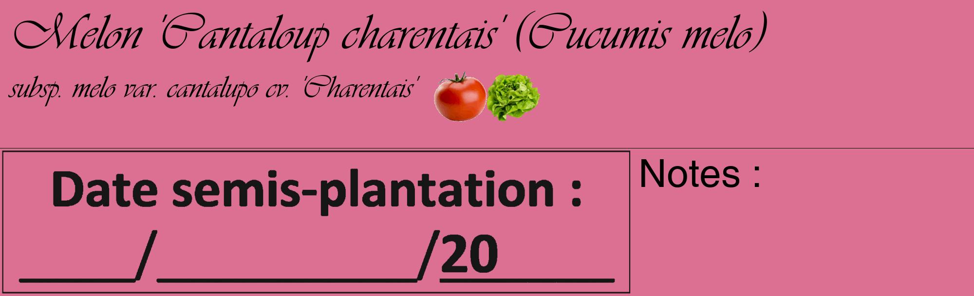Étiquette de : Cucumis melo subsp. melo var. cantalupo cv. 'Charentais' - format c - style noire44_basique_basiqueviv avec comestibilité simplifiée