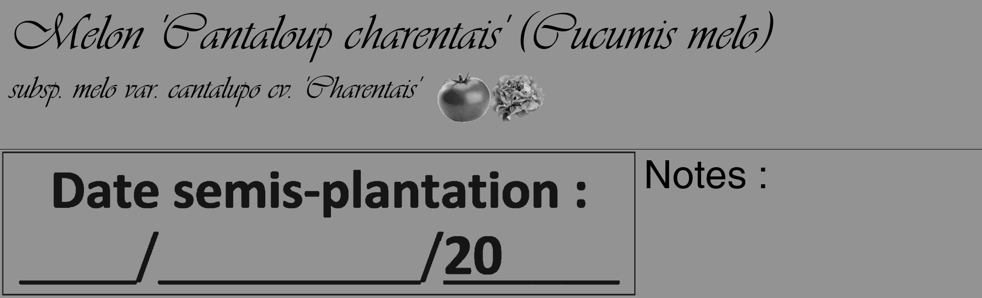 Étiquette de : Cucumis melo subsp. melo var. cantalupo cv. 'Charentais' - format c - style noire44_basique_basiqueviv avec comestibilité simplifiée