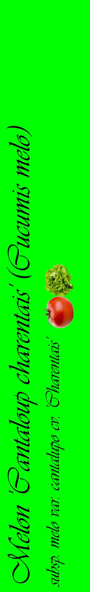 Étiquette de : Cucumis melo subsp. melo var. cantalupo cv. 'Charentais' - format c - style noire16_basiqueviv avec comestibilité simplifiée