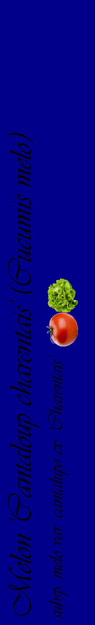 Étiquette de : Cucumis melo subsp. melo var. cantalupo cv. 'Charentais' - format c - style noire7_basiqueviv avec comestibilité simplifiée
