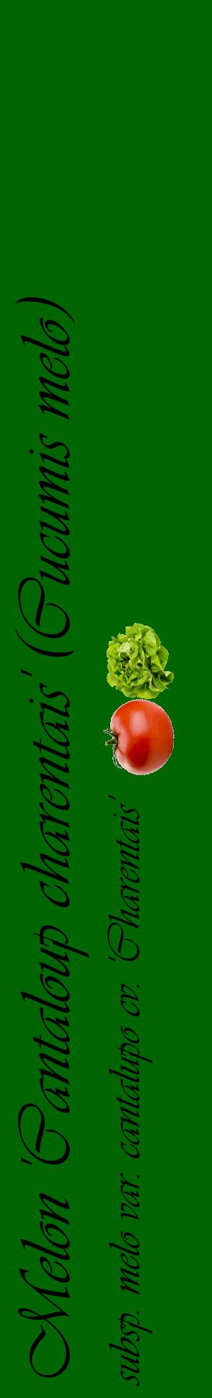 Étiquette de : Cucumis melo subsp. melo var. cantalupo cv. 'Charentais' - format c - style noire8_basiqueviv avec comestibilité simplifiée