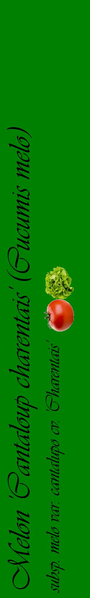 Étiquette de : Cucumis melo subsp. melo var. cantalupo cv. 'Charentais' - format c - style noire9_basiqueviv avec comestibilité simplifiée