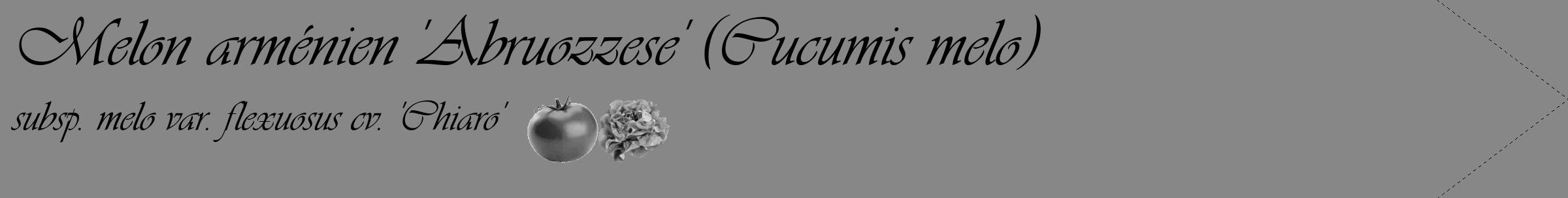 Étiquette de : Cucumis melo subsp. melo var. flexuosus cv. 'Chiaro' - format c - style noire12_simple_simpleviv avec comestibilité simplifiée