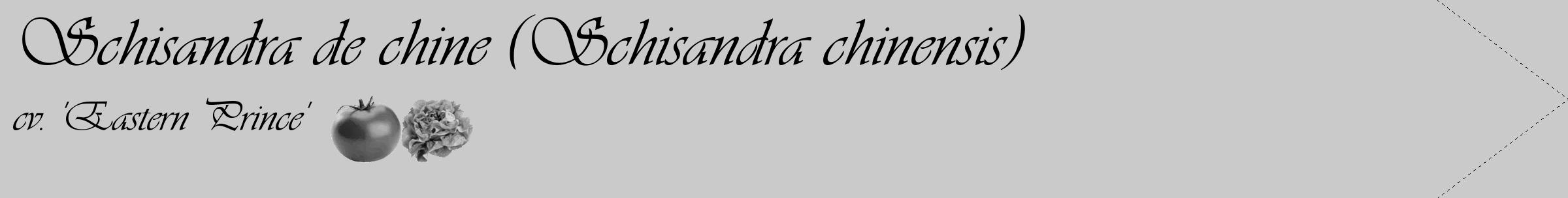 Étiquette de : Schisandra chinensis cv. 'Eastern Prince' - format c - style noire21_simple_simpleviv avec comestibilité simplifiée