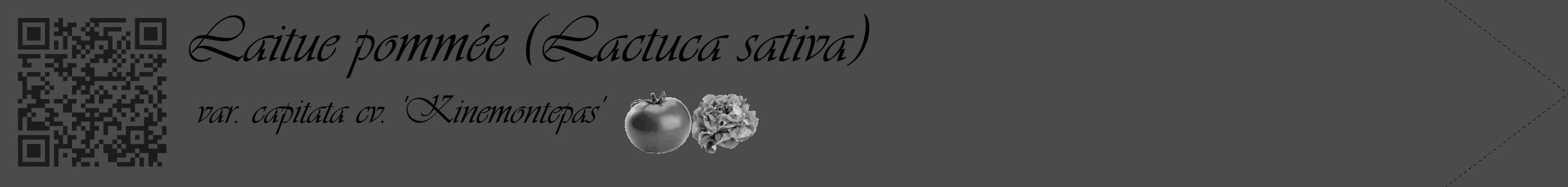 Étiquette de : Lactuca sativa var. capitata cv. 'Kinemontepas' - format c - style noire9simple_basique_basiqueviv avec qrcode et comestibilité simplifiée