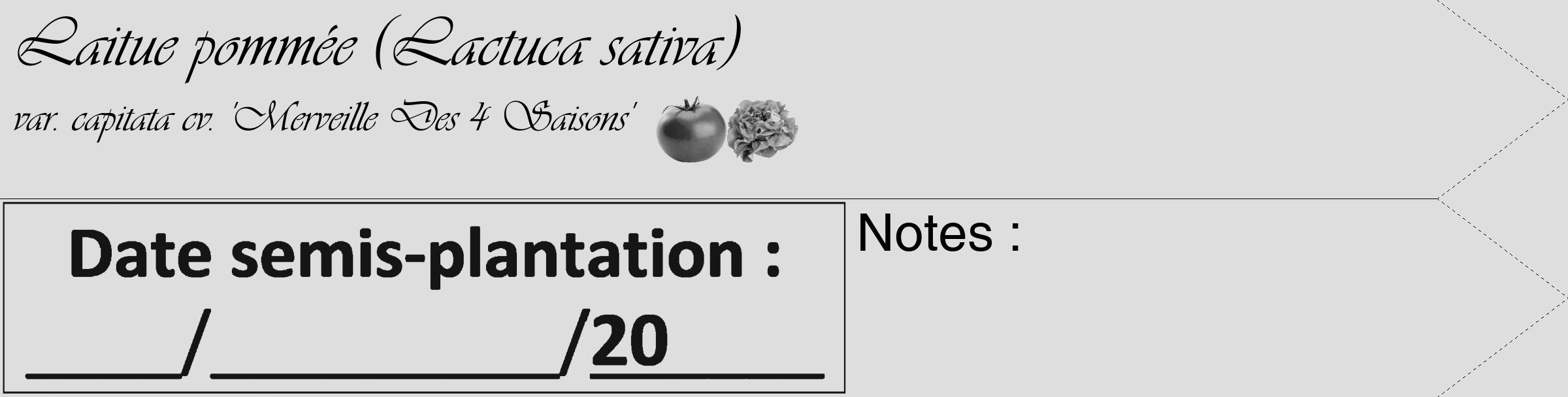 Étiquette de : Lactuca sativa var. capitata cv. 'Merveille Des 4 Saisons' - format c - style noire20_simple_simpleviv avec comestibilité simplifiée