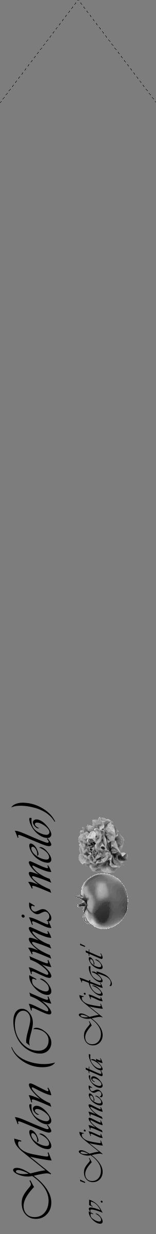 Étiquette de : Cucumis melo cv. 'Minnesota Midget' - format c - style noire35_simple_simpleviv avec comestibilité simplifiée - position verticale