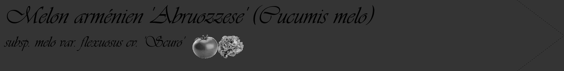 Étiquette de : Cucumis melo subsp. melo var. flexuosus cv. 'Scuro' - format c - style noire46_simple_simpleviv avec comestibilité simplifiée