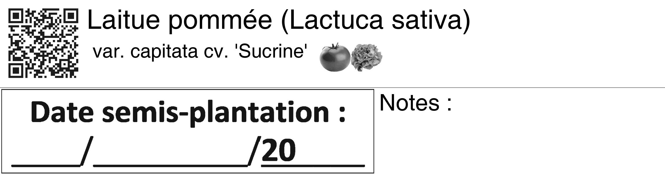 Étiquette de : Lactuca sativa var. capitata cv. 'Sucrine' - format c - style noire60_basiquegrrvhel avec qrcode et comestibilité simplifiée