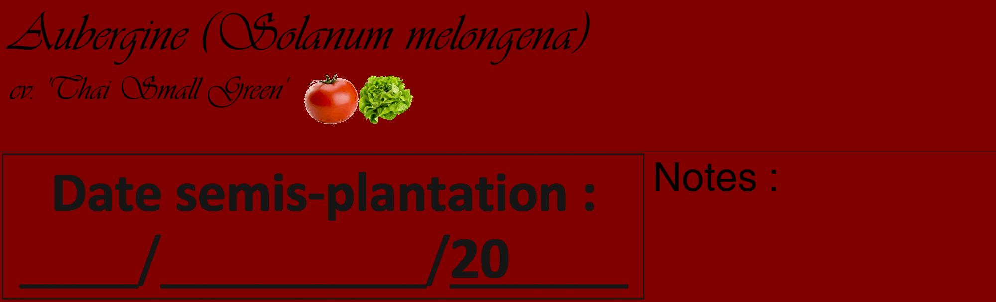 Étiquette de : Solanum melongena cv. 'Thai Small Green' - format c - style noire29_basique_basiqueviv avec comestibilité simplifiée