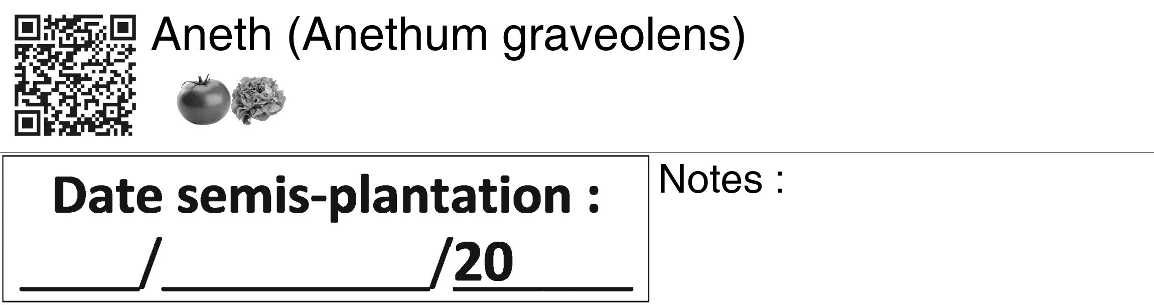 Étiquette de : Anethum graveolens - format c - style noire60_basiquegrrvhel avec qrcode et comestibilité simplifiée