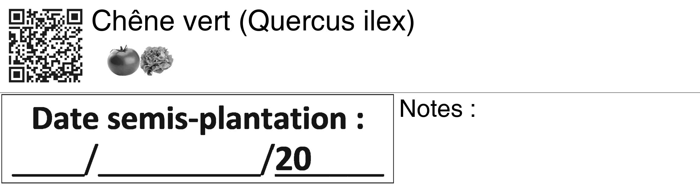 Étiquette de : Quercus ilex - format c - style noire60_basiquegrrvhel avec qrcode et comestibilité simplifiée
