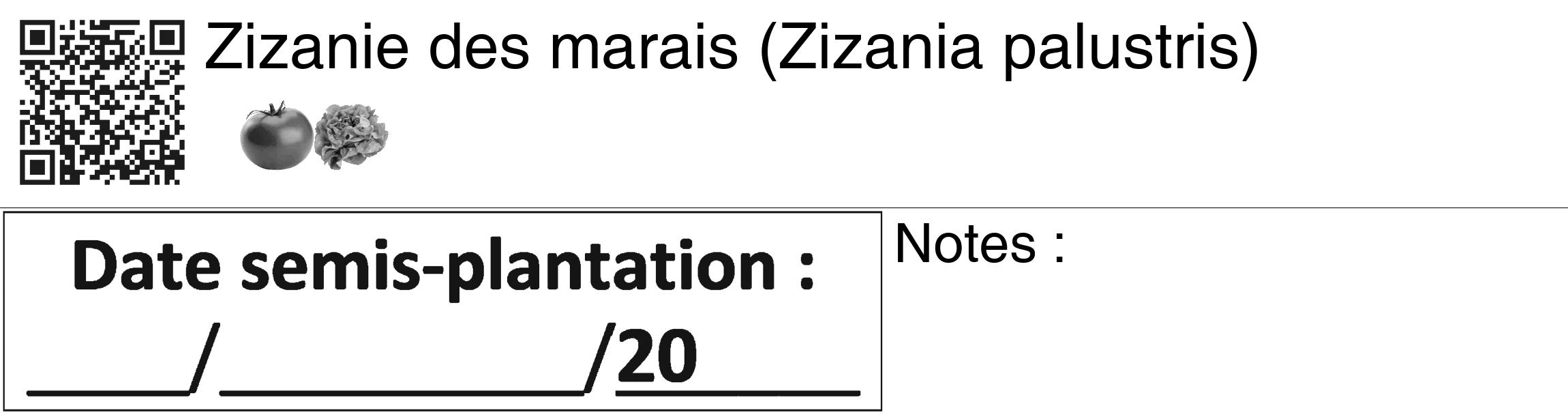 Étiquette de : Zizania palustris - format c - style noire60_basiquegrrvhel avec qrcode et comestibilité simplifiée