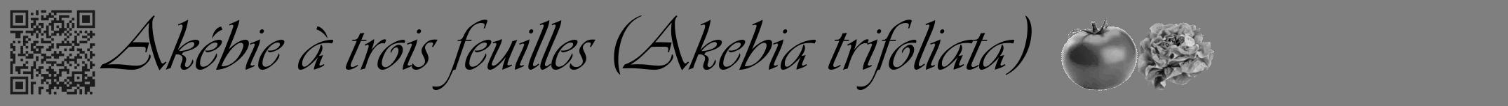 Étiquette de : Akebia trifoliata - format a - style noire31basiqueviv avec qrcode et comestibilité simplifiée