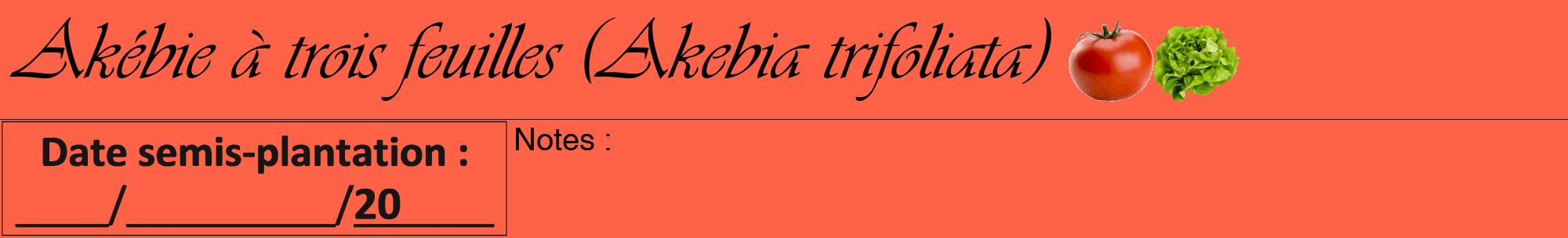 Étiquette de : Akebia trifoliata - format a - style noire25viv avec comestibilité simplifiée