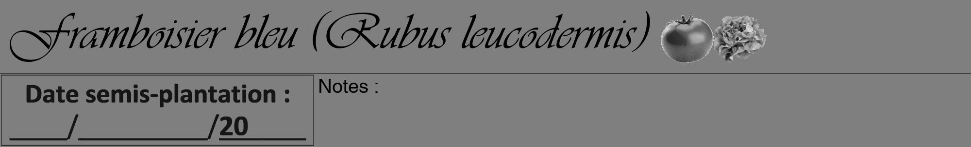 Étiquette de : Rubus leucodermis - format a - style noire31viv avec comestibilité simplifiée