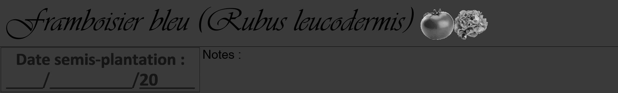 Étiquette de : Rubus leucodermis - format a - style noire8viv avec comestibilité simplifiée