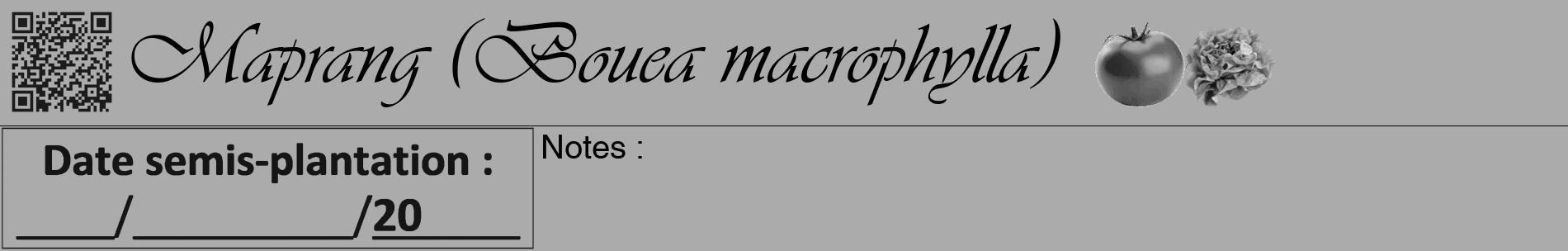 Étiquette de : Bouea macrophylla - format a - style noire37basiqueviv avec qrcode et comestibilité simplifiée