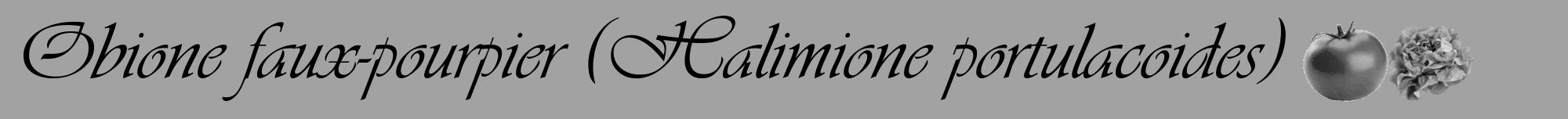 Étiquette de : Halimione portulacoides - format a - style noire38viv avec comestibilité simplifiée