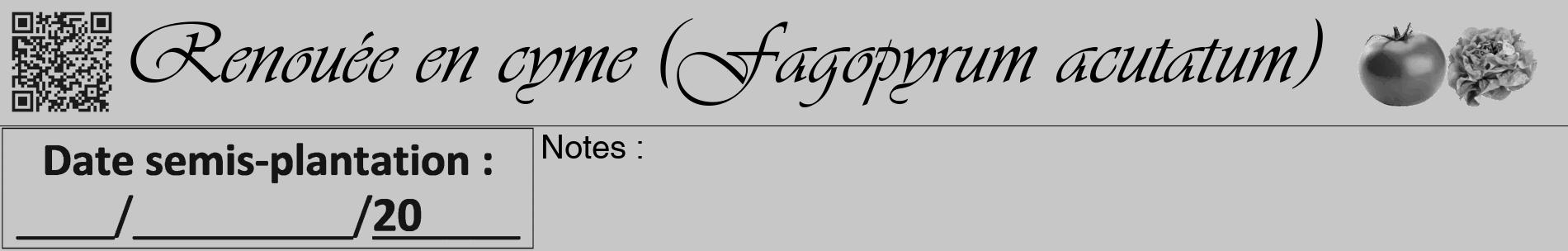 Étiquette de : Fagopyrum acutatum - format a - style noire15basiqueviv avec qrcode et comestibilité simplifiée