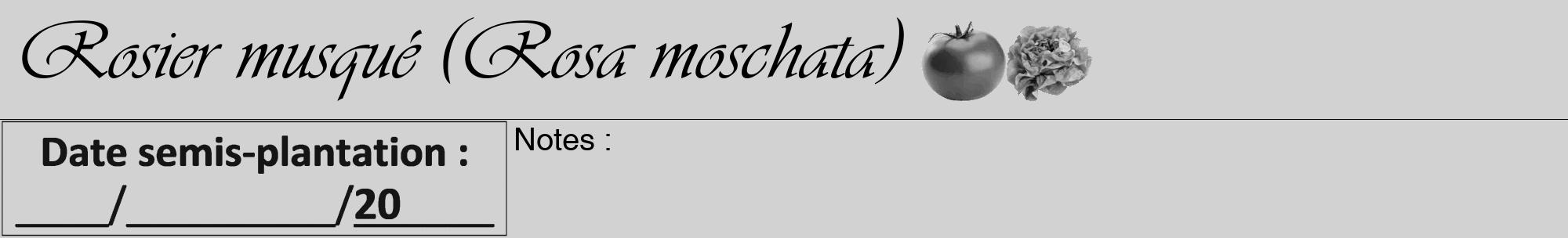 Étiquette de : Rosa moschata - format a - style noire14viv avec comestibilité simplifiée