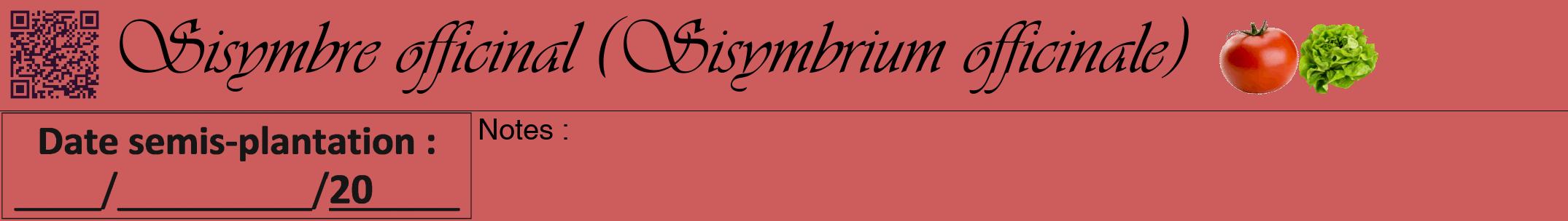 Étiquette de : Sisymbrium officinale - format a - style noire35viv avec qrcode et comestibilité simplifiée