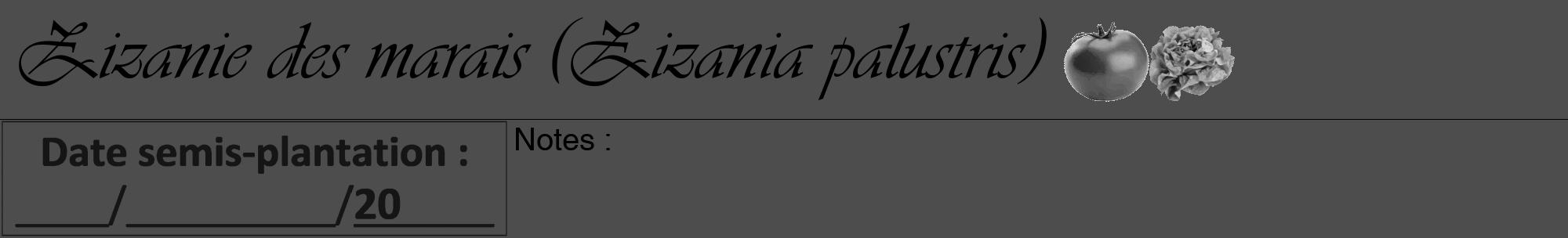 Étiquette de : Zizania palustris - format a - style noire28viv avec comestibilité simplifiée