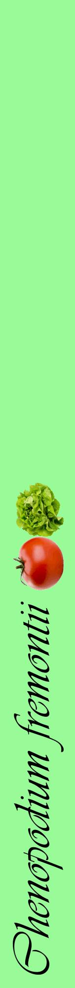 Étiquette de : Chenopodium fremontii - format a - style noire14viv avec comestibilité simplifiée