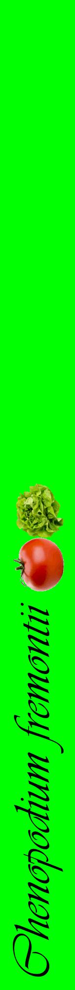Étiquette de : Chenopodium fremontii - format a - style noire16viv avec comestibilité simplifiée