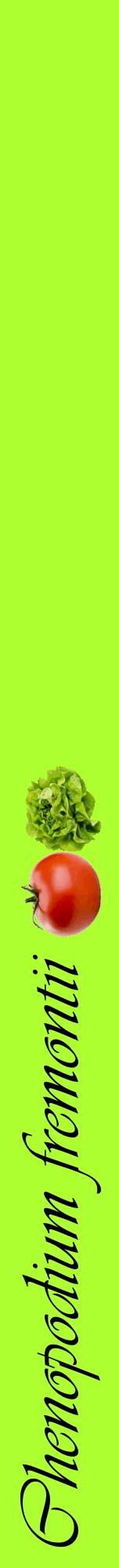 Étiquette de : Chenopodium fremontii - format a - style noire17viv avec comestibilité simplifiée