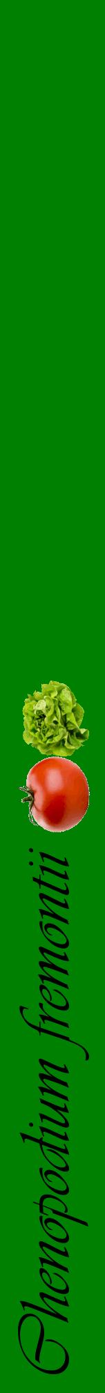 Étiquette de : Chenopodium fremontii - format a - style noire9viv avec comestibilité simplifiée