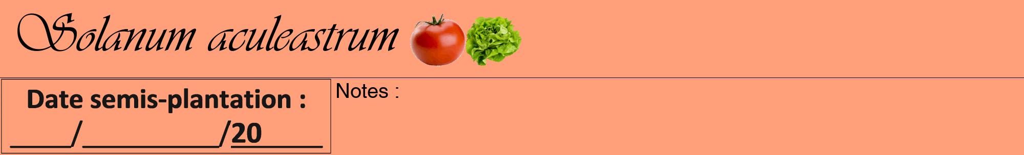 Étiquette de : Solanum aculeastrum - format a - style noire39viv avec comestibilité simplifiée
