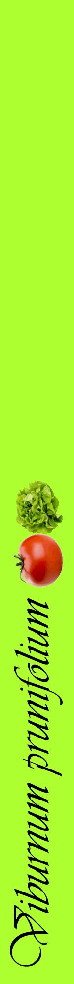 Étiquette de : Viburnum prunifolium - format a - style noire17viv avec comestibilité simplifiée