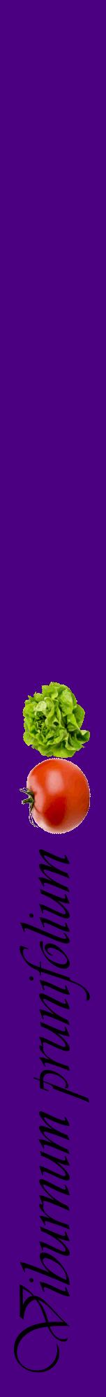Étiquette de : Viburnum prunifolium - format a - style noire47viv avec comestibilité simplifiée