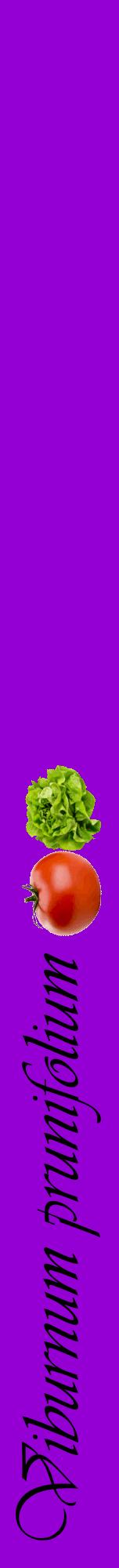 Étiquette de : Viburnum prunifolium - format a - style noire48viv avec comestibilité simplifiée