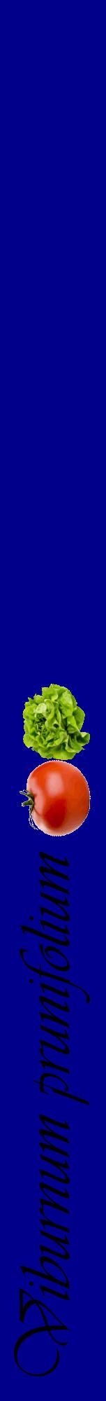 Étiquette de : Viburnum prunifolium - format a - style noire7viv avec comestibilité simplifiée