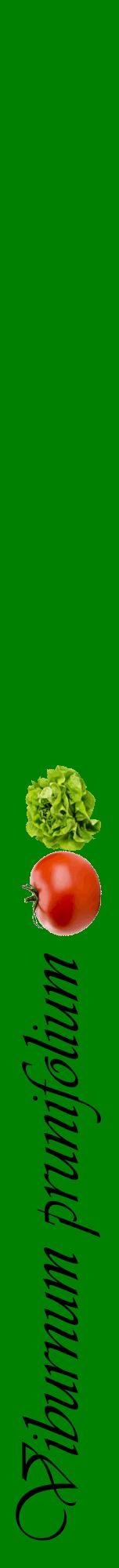 Étiquette de : Viburnum prunifolium - format a - style noire9viv avec comestibilité simplifiée