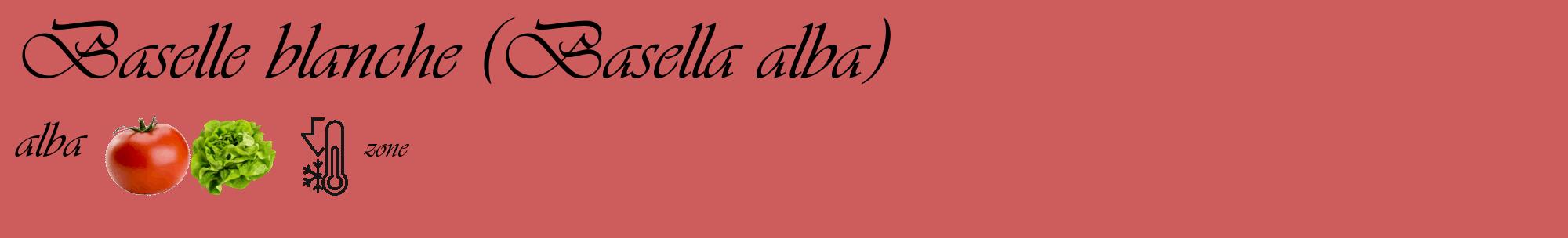 Étiquette de : Basella alba alba - format c - style noire35_basique_basiqueviv avec comestibilité simplifiée